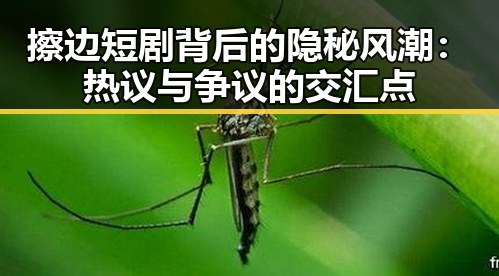 擦边短剧背后的隐秘风潮：热议与争议的交汇点