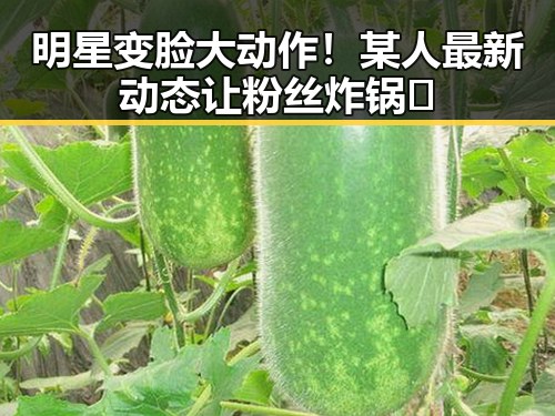 明星变脸大动作！某人最新动态让粉丝炸锅🔥